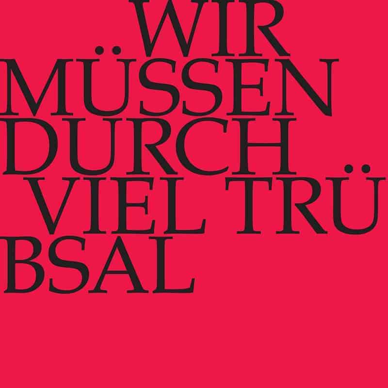 Wir müssen durch viel Trübsal in das Reich Gottes eingehen