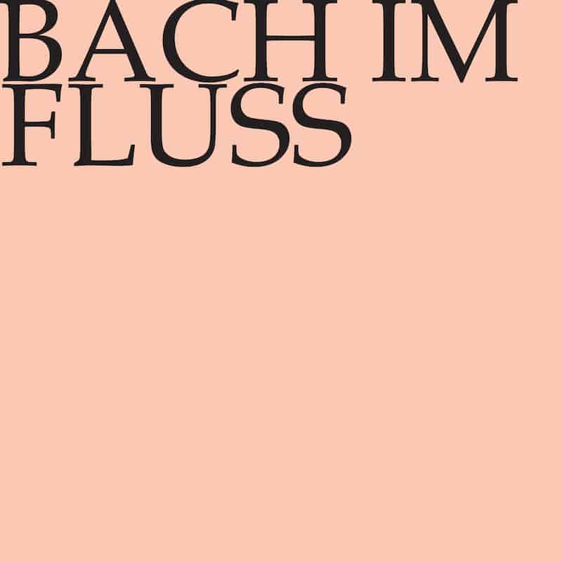 Bach im Fluss