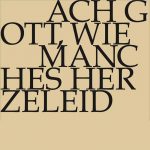 Ach Gott, wie manches Herzeleid